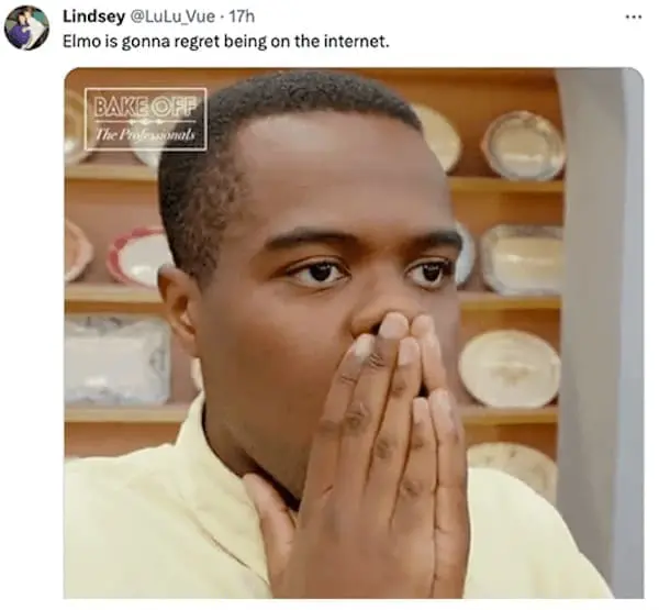 Elmo is gonna regret being on the internet.