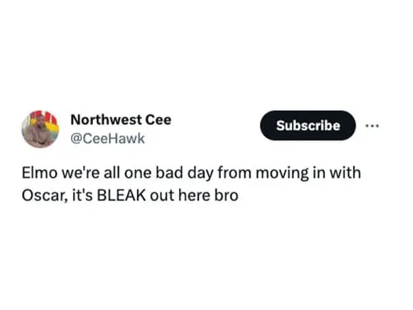 @CeeHawk Subscribe Elmo we're all one bad day from moving in with Oscar, it's BLEAK out here bro