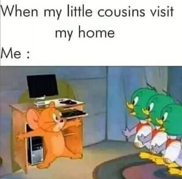 Family memes When my little cousins visit my home Me :