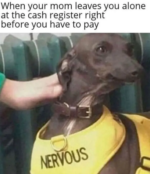 Family memes When your mom leaves you alone at the cash register right before you have to pay NERVOUS