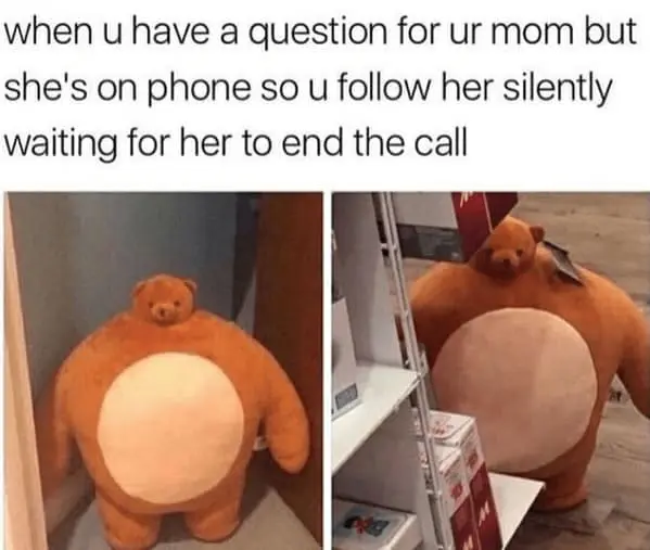 Family memes when u have a question for ur mom but she's on phone so u follow her silently waiting for her to end the call