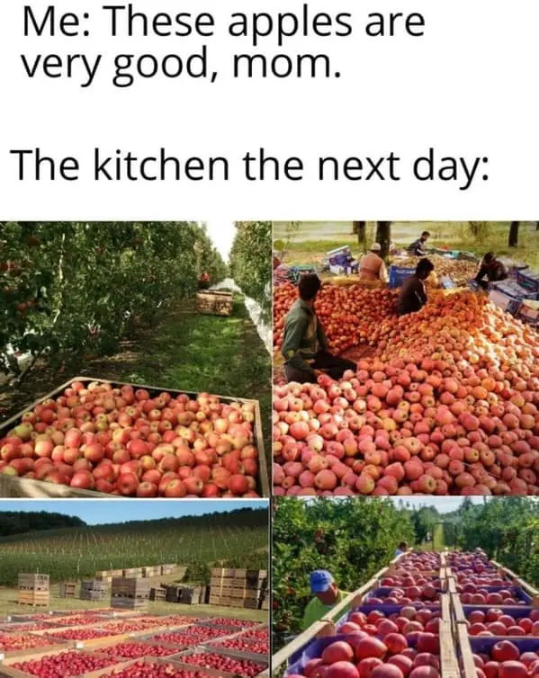 Family memes Me: These apples are very good, mom. The kitchen the next day: