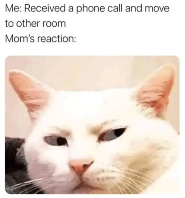 Family memes Me: Received a phone call and move to other room Mom's reaction: