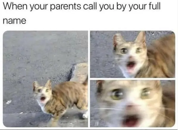 Family memes When your parents call you by your full name