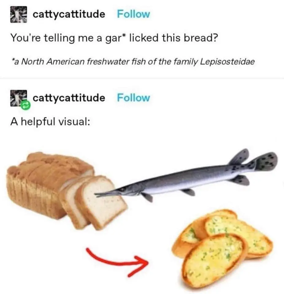You're telling me a gar* licked this bread? *a North American freshwater fish of the family Lepisosteidae