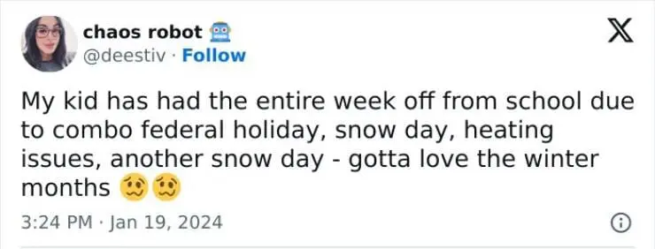 Snow Day Memes My kid has had the entire week off from school due to combo federal holiday, snow day, heating issues, another snow day - gotta love the winter months
