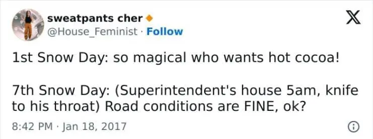 Snow Day Memes 1st Snow Day: so magical who wants hot cocoa! 7th Snow Day: (Superintendent's house 5am, knife to his throat) Road conditions are FINE,