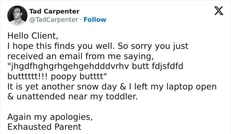 Snow Day Memes Hello Client, I hope this finds you well. So sorry you just received an email from me saying, "jhgdfhghghgehgehdddvrhv butt fdjsfdfd butttttt!!! poopy butttt" It is yet another snow day & I left my laptop open & unattended near my toddler. Again my apologies, Exhausted Parent