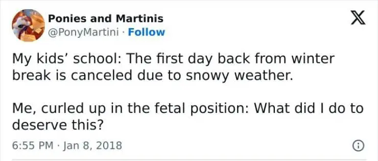 Snow Day Memes My kids' school: The first day back from winter break is canceled due to snowy weather. X Me, curled up in the fetal position: What did I do to deserve this?