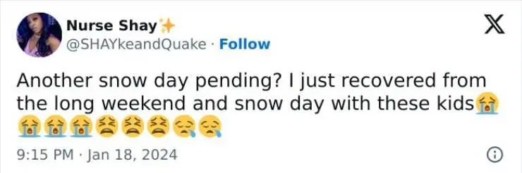 Snow Day Memes Another snow day pending? I just recovered from the long weekend and snow day with these kids