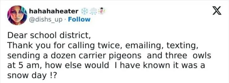 Snow Day Memes Dear school district, Thank you for calling twice, emailing, texting, sending a dozen carrier pigeons and three owls at 5 am, how else would I have known it was a snow day !?