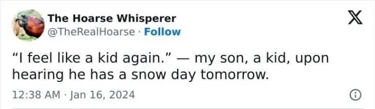 Snow Day Memes "I feel like a kid again." - my son, a kid, upon hearing he has a snow day tomorrow.