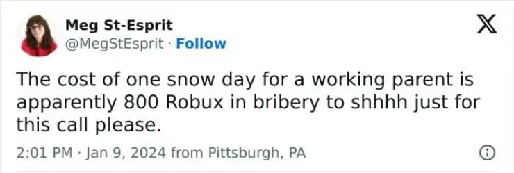 Snow Day Memes The cost of one snow day for a working parent is apparently 800 Robux in bribery to shhhh just for this call please.