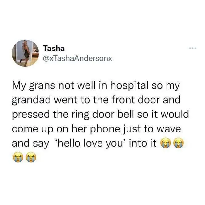 meme dump, hilarious memes, funny memes, Sunday humor, laughter therapy, hilarious meme collection, laugh-out-loud memes,