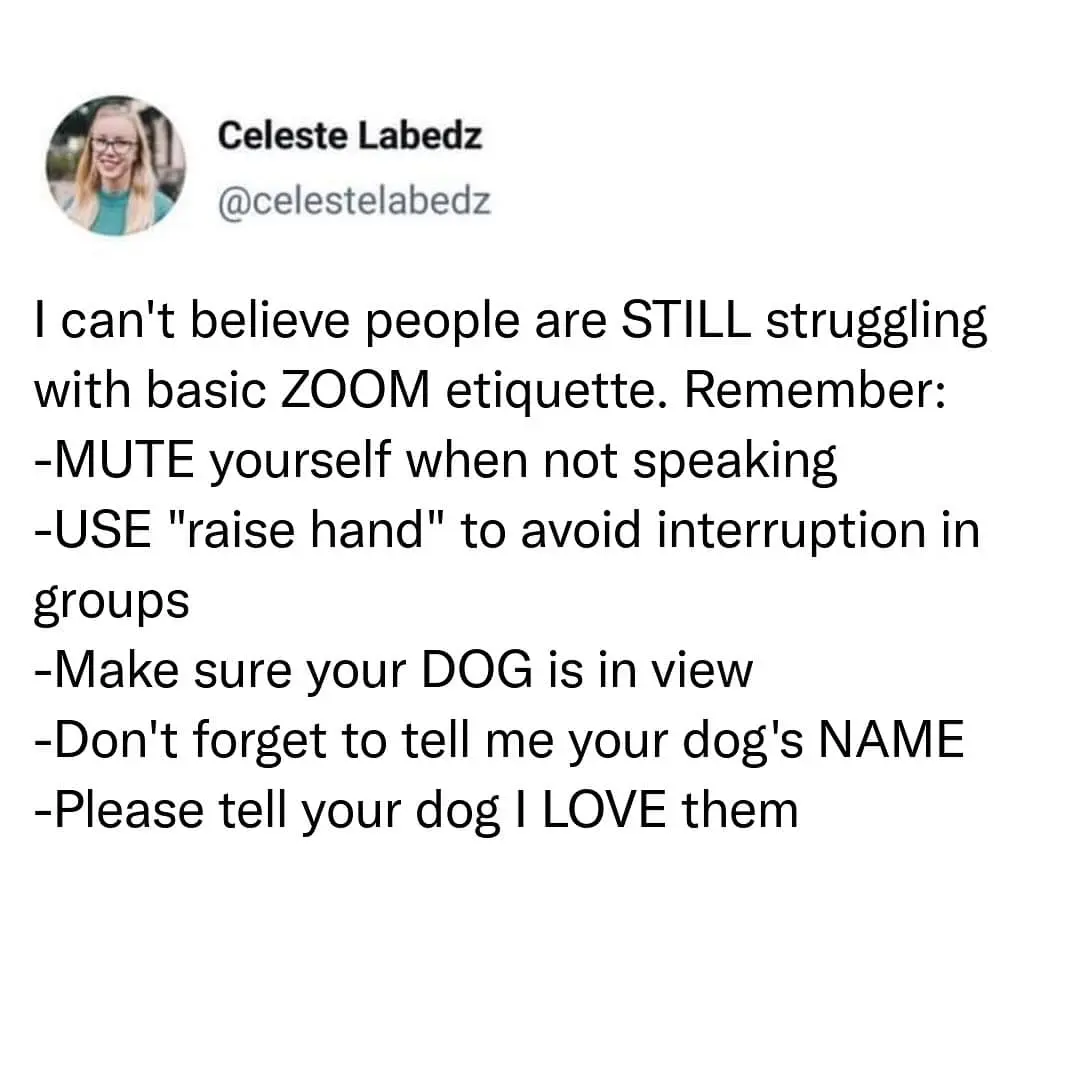 meme dump, hilarious memes, funny memes, Sunday humor, laughter therapy, hilarious meme collection, laugh-out-loud memes,