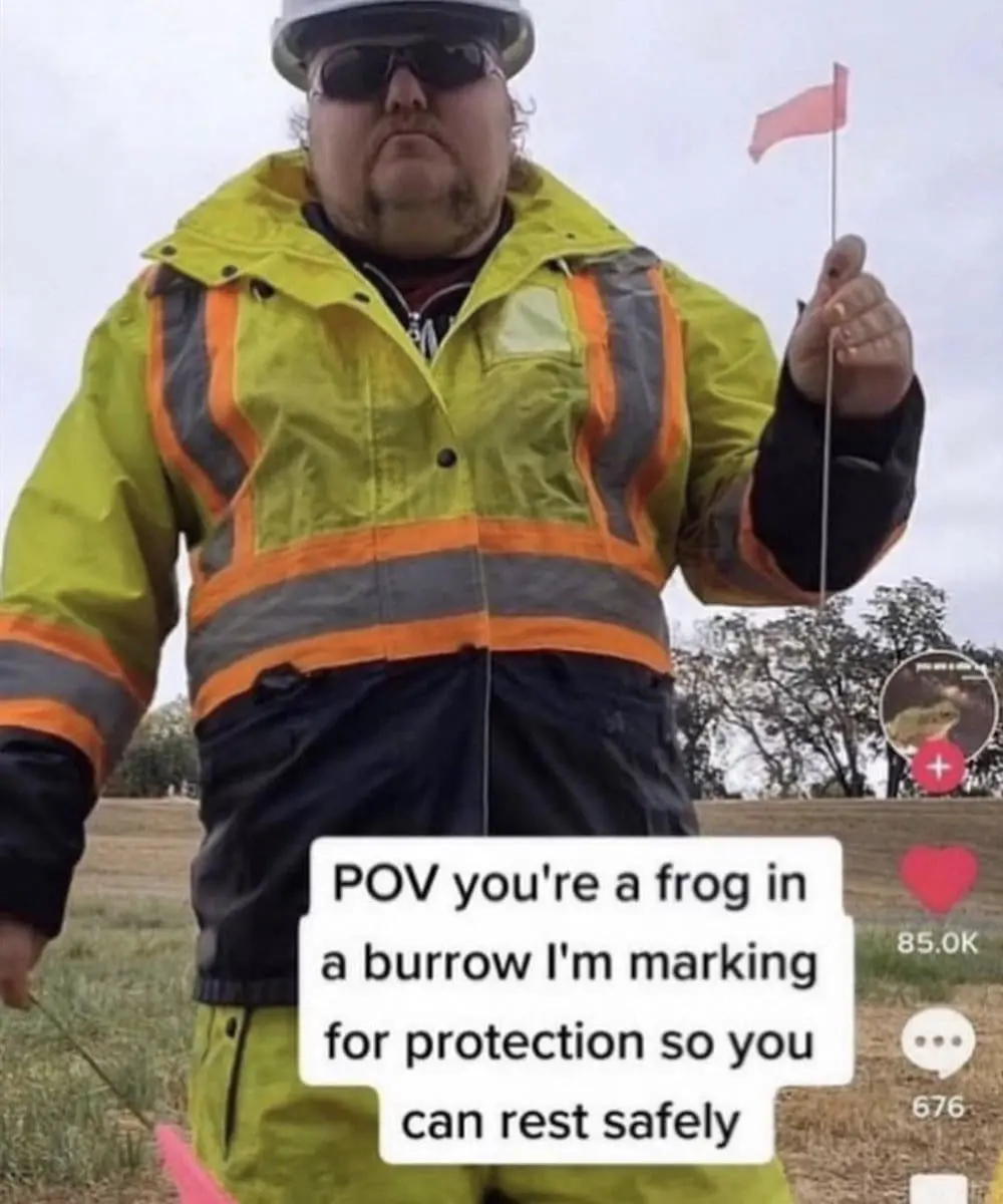 wholesome memes, dudes posting their wins, uplifting content, feel-good memes, positive vibes, heartwarming memes, cheerful images, inspiring humor