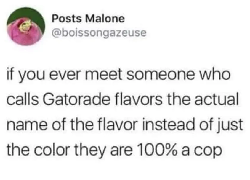 oddly specific memes, niche memes, specific interest memes, obscure online jokes, targeted humor memes