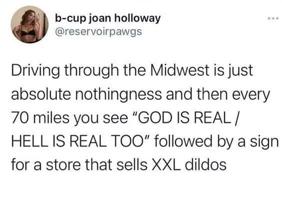 oddly specific memes, niche memes, specific interest memes, obscure online jokes, targeted humor memes