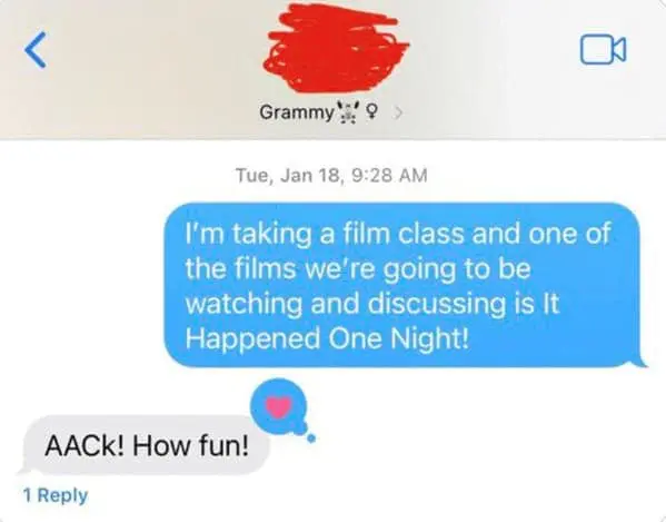 I'm taking a film class and one of the films we're going to be watching and discussing is It Happened One Night! AACk! How fun!