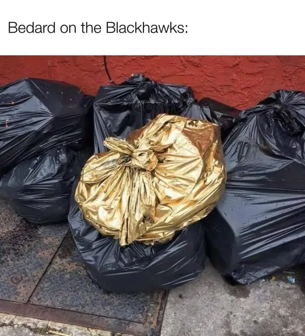 NHL memes, hockey memes, hockey comedic bits, pro hockey jokes, puck-based humor, rink comedic illusions, ice-based comedic snapshots, NHL jokes, league comedic commentary, pro-level meltdown references, sports humor, athletic comedic angles, fan meltdown jest