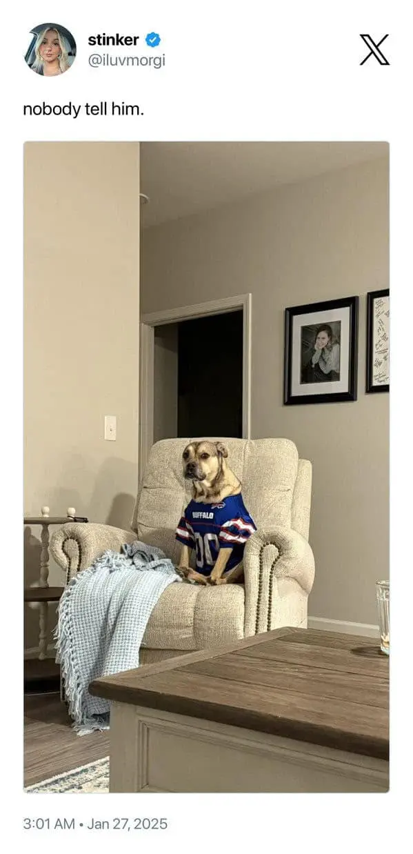 super bowl memes, funny super bowl tweets, super bowl tweets, eagles vs chiefs memes, eagles memes, chiefs memes, big game comedic bits, championship humor, NFL final jokes, pro football comedic lines, league meltdown references, eagles vs chiefs, bird vs arrow comedic banter, team rivalry jokes, football humor, gridiron comedic points, pigskin pun references