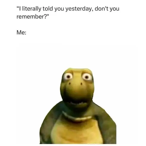 relatable memes, funny relatable memes, universal memes, everyday memes, soul-touching memes, memes about adulting, adult life jokes, grown-up humor, memes for everyone, people memes, common experience laughs