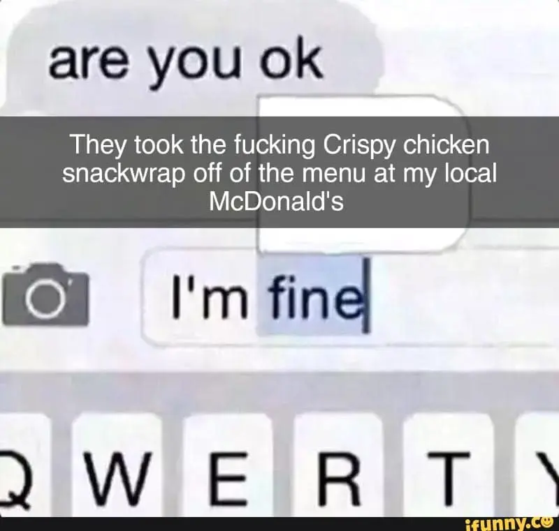 mcdonalds snack wrap memes, mcdonalds snack wrap coming back, mcdonalds memes, junk food jokes, snack wrap return, snack wrap launch, snack wrap relaunch, mcdonalds menu changes, new mcdonalds items, mcdonalds product comeback