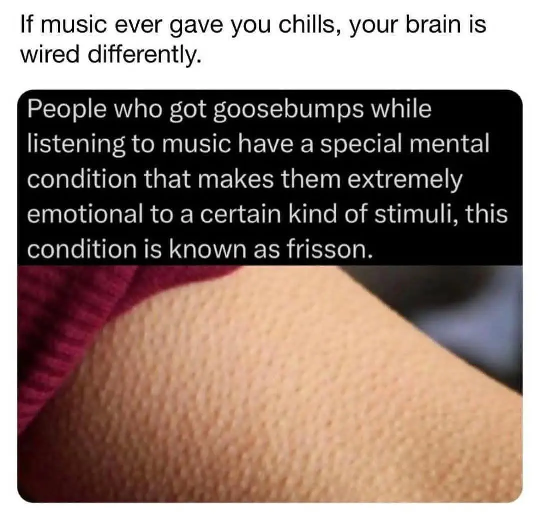 wholesome memes, heartwarming memes, uplifting memes, positive memes, feel-good memes, feel-good memes, cheerful memes, encouraging memes, mood-lifting memes, supportive memes