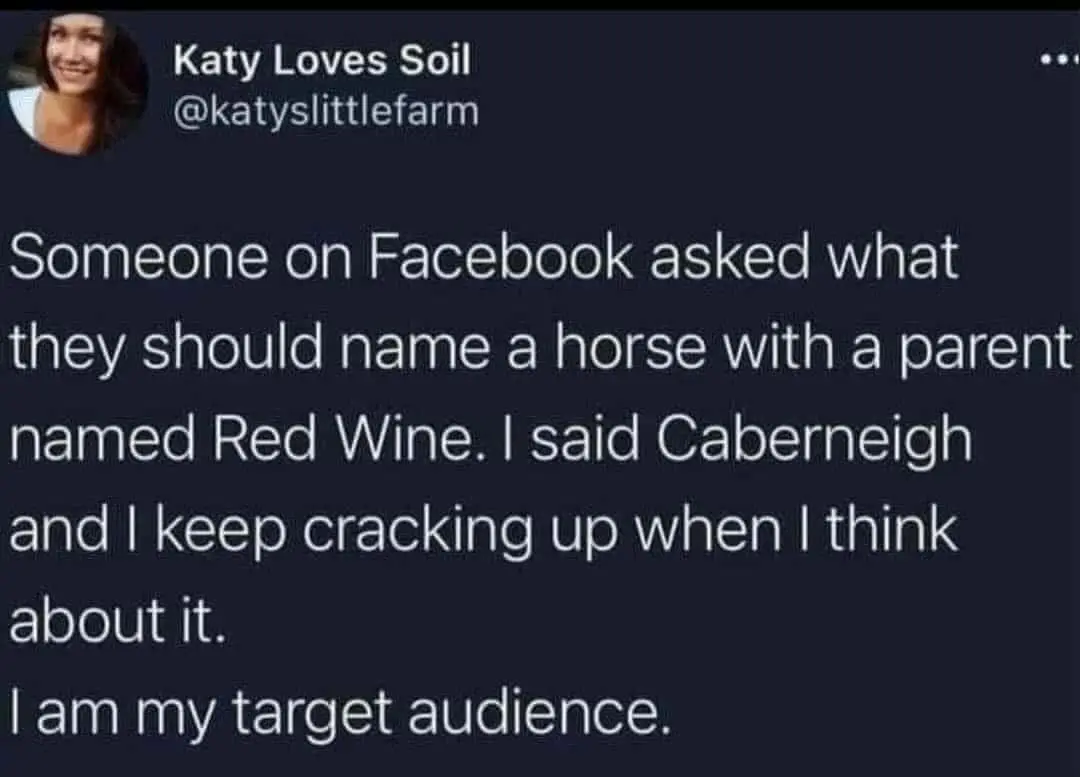 wholesome memes, heartwarming memes, uplifting memes, positive memes, feel-good memes, feel-good memes, cheerful memes, encouraging memes, mood-lifting memes, supportive memes