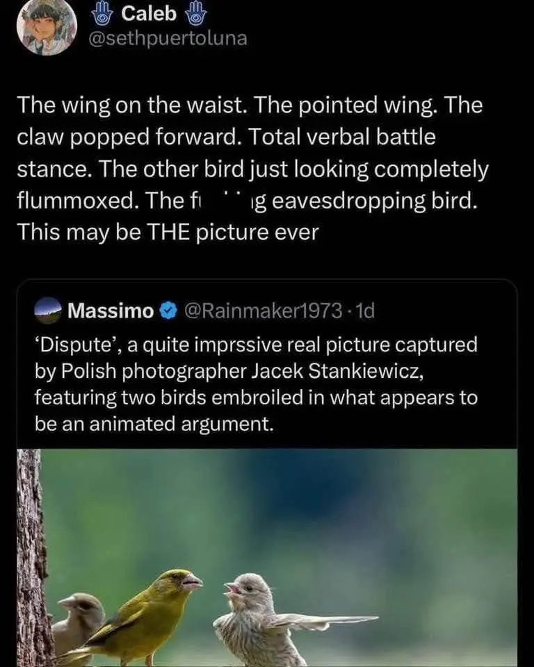 wholesome memes, heartwarming memes, uplifting memes, positive memes, feel-good memes, feel-good memes, cheerful memes, encouraging memes, mood-lifting memes, supportive memes