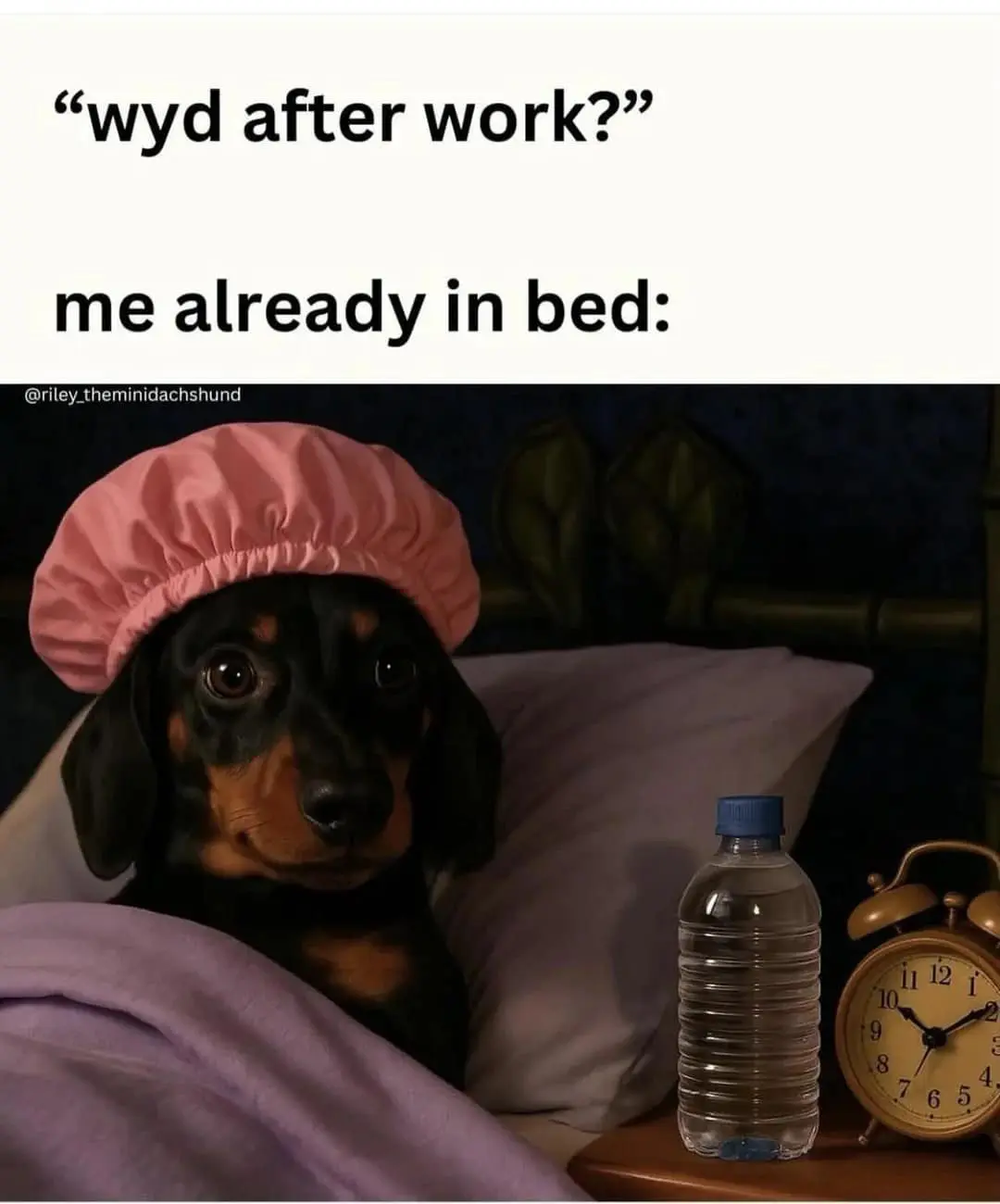 introvert memes, social anxiety memes, funny introvert memes, antisocial memes, shy memes, quiet person memes, introvert jokes, socially awkward memes, stay home memes, alone time memes, crowd anxiety memes, funny isolation memes, introvert life memes, solitude memes, no small talk memes, people avoiding memes, low battery social memes, introvert humor, indoor memes, silent laugh memes