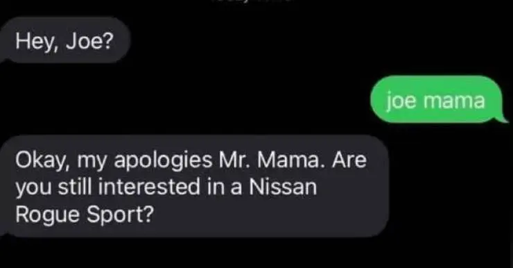 random memes, niche memes, weird memes, funny random pics, obscure humor, bizarre memes, internet randomness, surreal memes, strange humor, odd memes, meme humor, funny randomness, comedic chaos