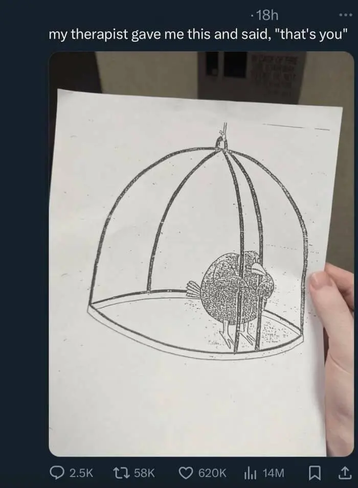 random memes, niche memes, weird memes, funny random pics, obscure humor, bizarre memes, internet randomness, surreal memes, strange humor, odd memes, meme humor, funny randomness, comedic chaos