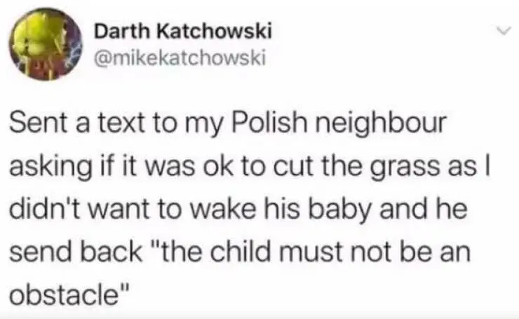 random memes, niche memes, weird memes, funny random pics, obscure humor, bizarre memes, internet randomness, surreal memes, strange humor, odd memes, meme humor, funny randomness, comedic chaos