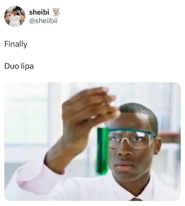 dual lipa memes, Dua Lipa memes, celebrity twin memes, sibling look‑alike memes, pun memes, photo reaction memes, viral memes, funny pop star memes, internet pun culture, duo lipa memes, rina lipa memes