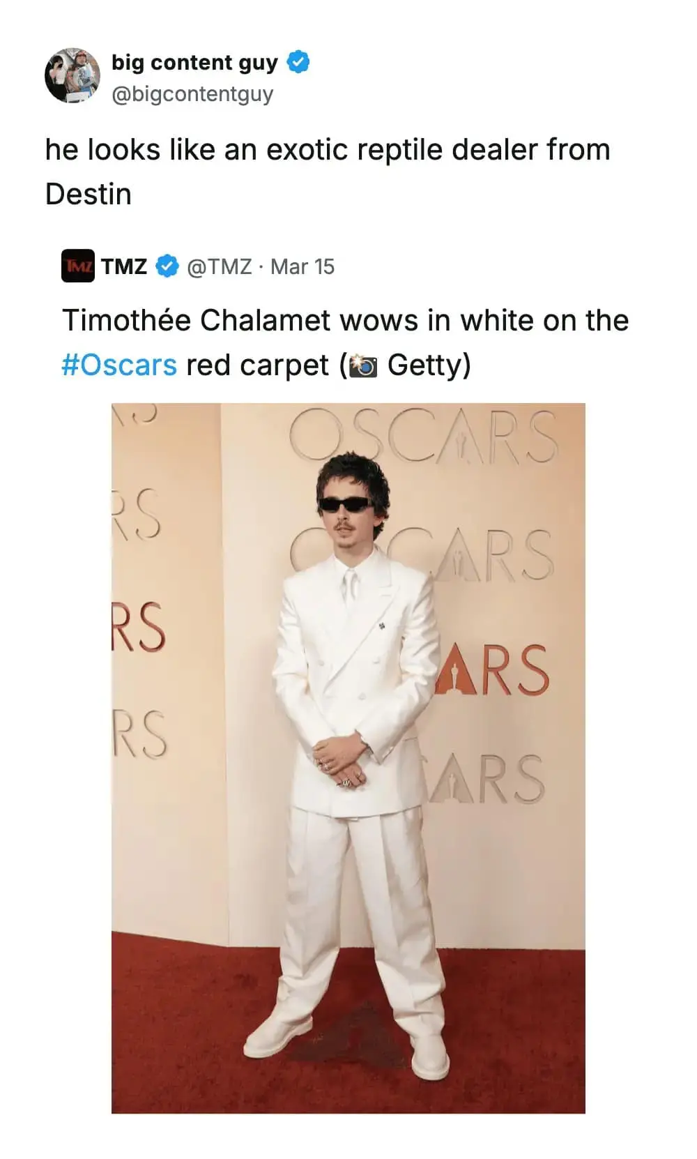 Timothée Chalamet’s bold red carpet aesthetic is compared to an exotic reptile dealer in this visually-driven and funny Oscars meme