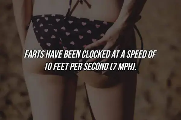 Science meme displaying the recorded speed of human flatulence at seven miles per hour.