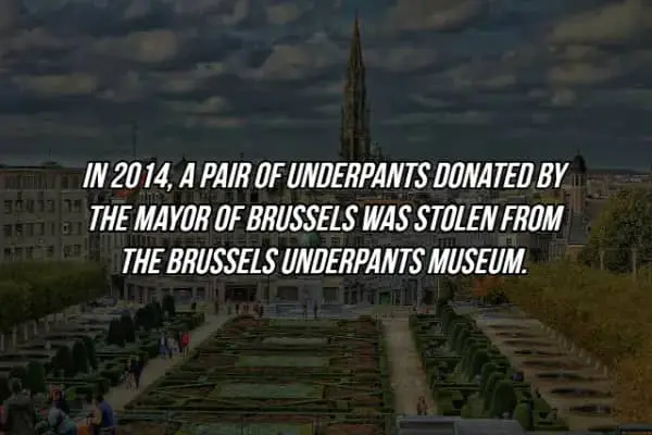 Bizarre crime fact about stolen mayoral underpants from the Brussels Underpants Museum in 2014