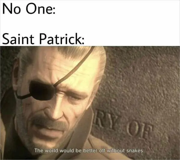 Blending tactical gaming with Irish lore, this irish meme features a grizzled Big Boss from Metal Gear Solid somberly declaring that the world would be better off without snakes—a nod to Saint Patrick's most famous ecological feat.