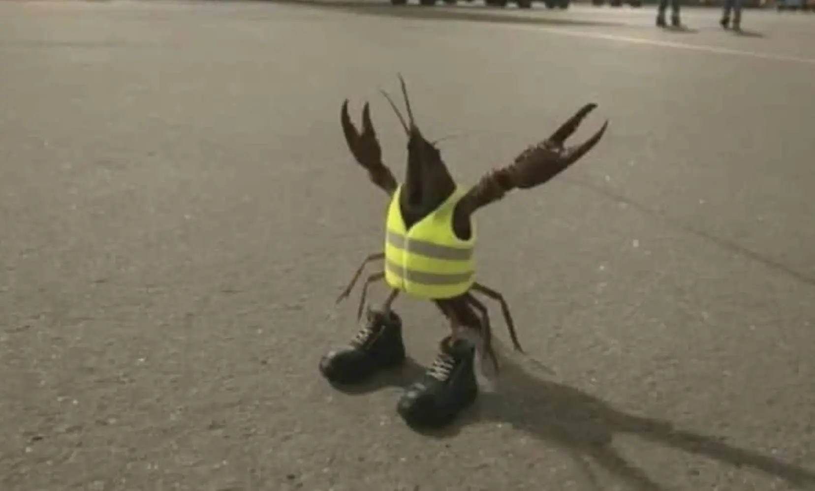 A small brown crawfish wearing a miniature high-visibility safety vest and two black work boots on pavement.