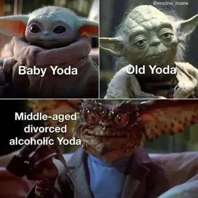 A classic meme comparison chart of Yoda's life stages. It shows "Baby Yoda" (Grogu), "Old Yoda," and a third panel featuring a disheveled, wild-eyed Gremlin labeled as "Middle-aged divorced alcoholic Yoda."