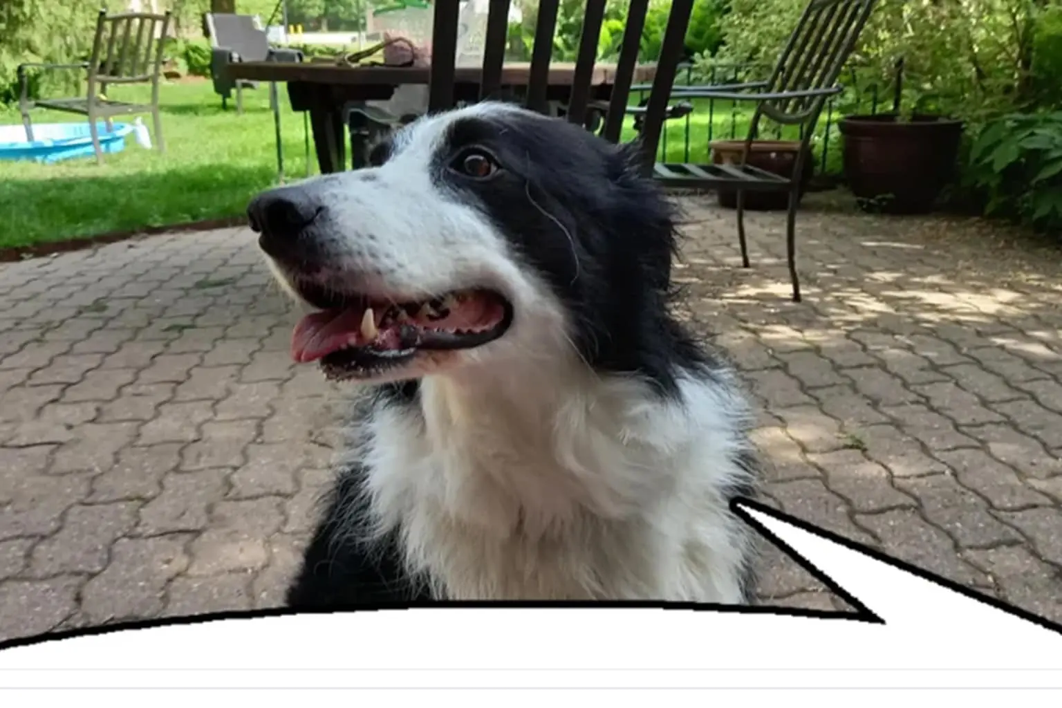 A compilation:of classic memes featuring King Charles edited with massive sausage fingers, a low-res Skyrim cheese wheel capable of "fixing" someone, and an unhinged conspiracy tweet about vapes being a "psyop" involving "robot dicks."