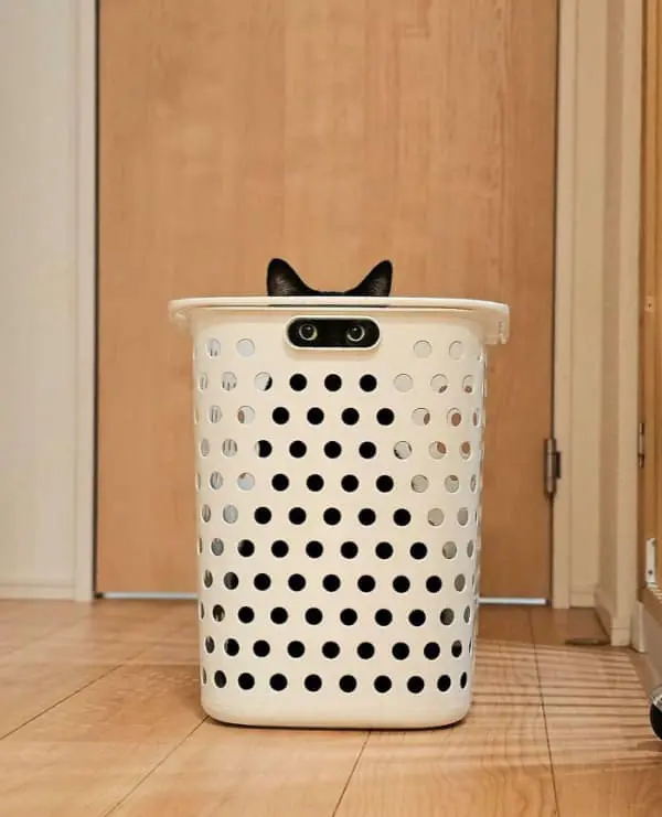 A funny cat picture of a black cat playing "submarine" in a white plastic laundry basket, with only its pointed ears and wide, dilated eyes visible through the handle.
