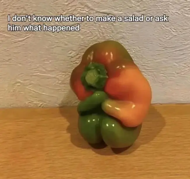 A hilarious meme from a recent meme dump featuring a multi-colored bell pepper that has grown into a shape resembling a person sitting hunched over in a sad, fetal position. The caption reads: "I don't know whether to make a salad or ask him what happened."