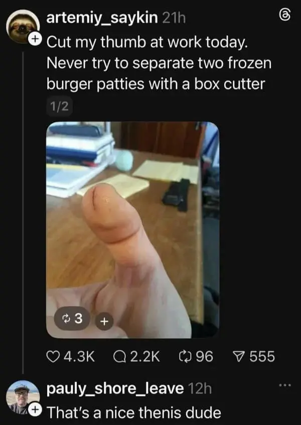 hilarious meme from a social media thread. A user posts a photo of their thumb, which they cut while trying to separate frozen burger patties. Because of the angle and the cut, the thumb looks remarkably phallic, leading a commenter to reply: "That's a nice thenis dude."