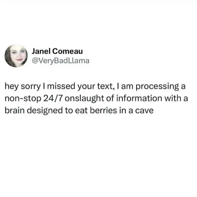 relatable text-based meme dump entry by Janel Comeau. It offers a perfectly valid excuse for a late reply: "hey sorry I missed your text, I am processing a non-stop 24/7 onslaught of information with a brain designed to eat berries in a cave."