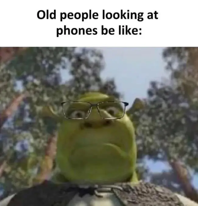 A hilarious meme showing Shrek from a low, unflattering angle while wearing a pair of digital glasses. The text above accurately captures the vibe: "Old people looking at phones be like:".