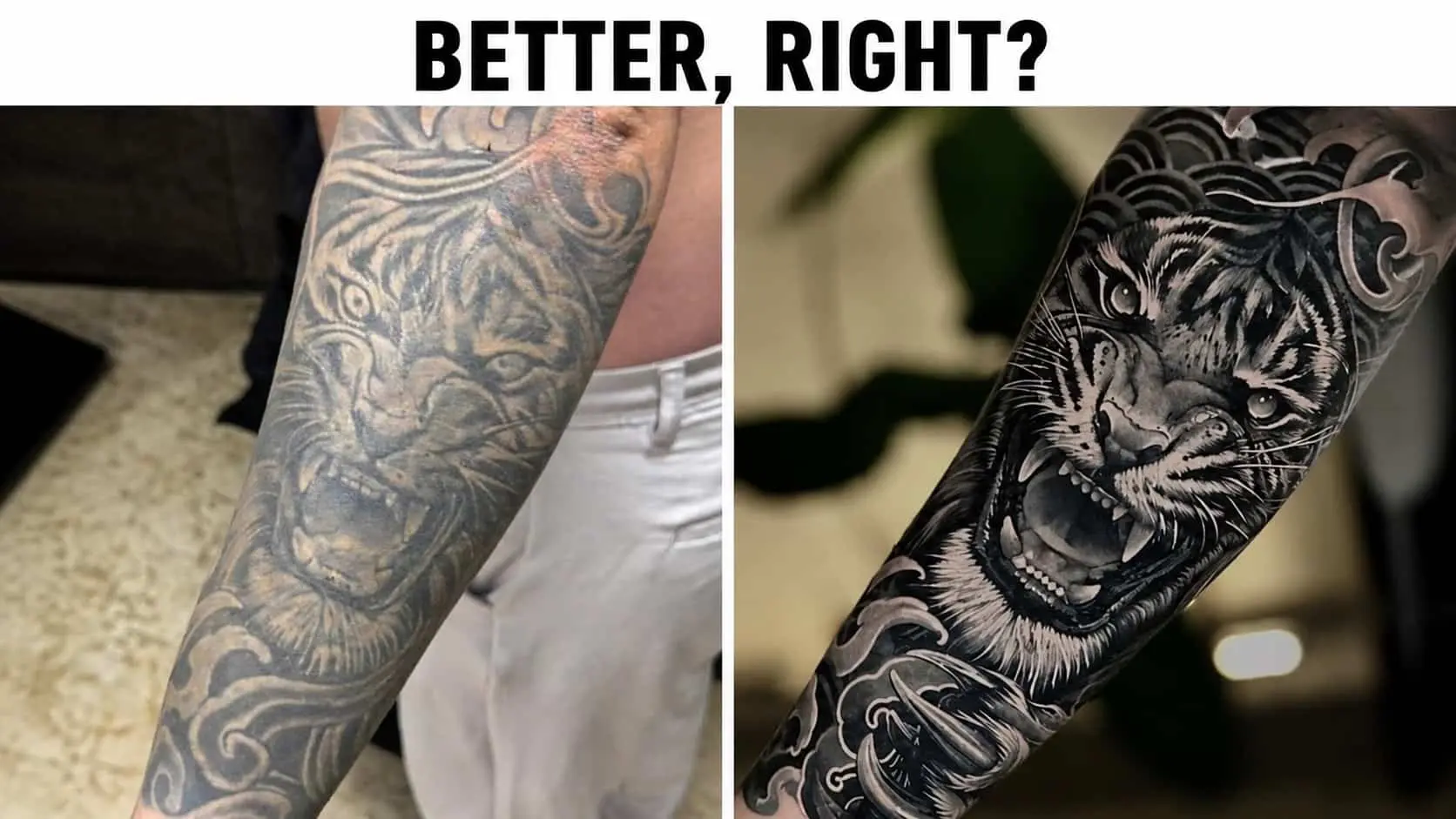 Side-by-side comparison of a faded old tiger tattoo transformed into detailed blackwork art.