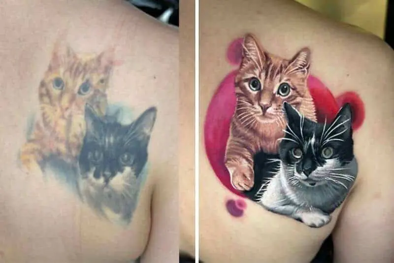 Faded cat portrait tattoo replaced with detailed vibrant ginger and tuxedo cats pet tattoo coverup.
