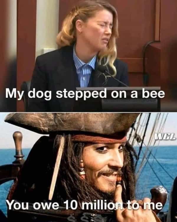 Thunder Dungeon - Funny Memes, Funny Gifs and Funny videos daily. Submit  your own. - Amber heard johnny depp memes-26